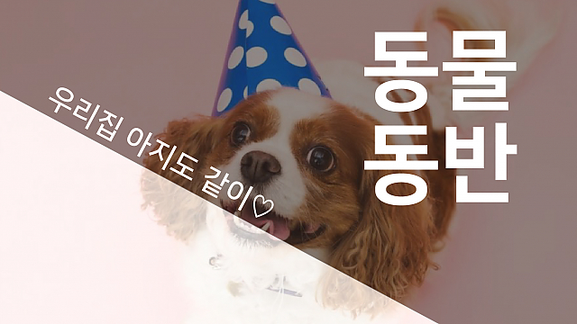 반려동물 입장 가능 thumbnail image