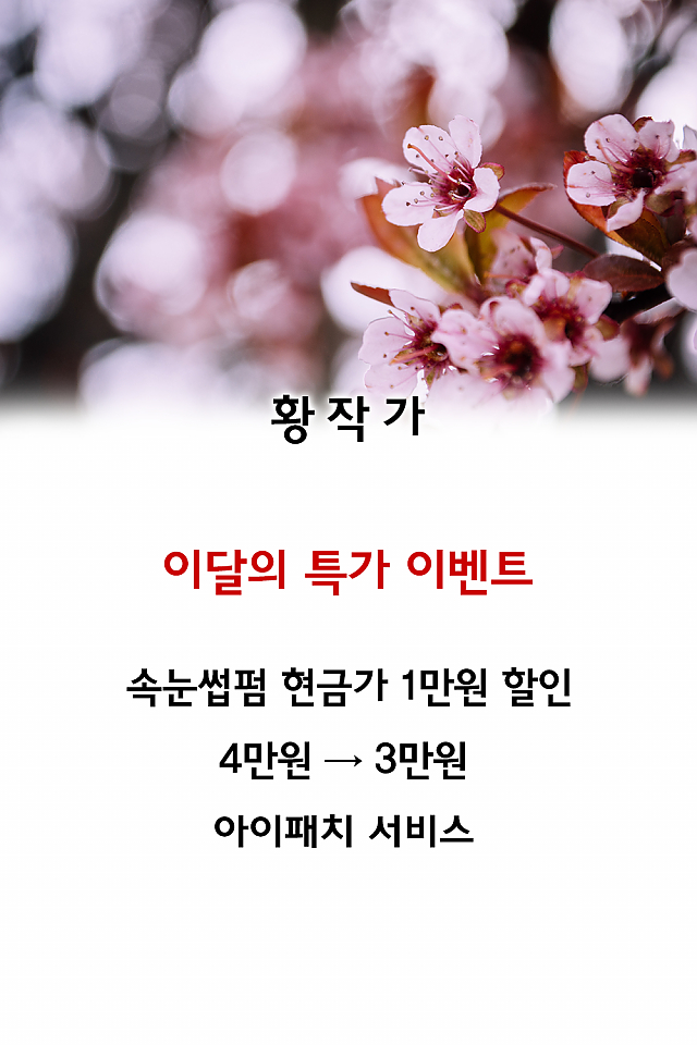 [이벤트] 황작가, 이달의 특가 이벤트! sub image