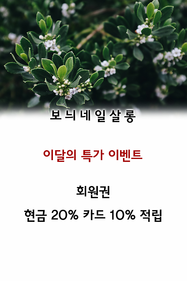 [이벤트] 보늬네일살롱, 이 달의 특가 이벤트! sub image